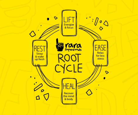 ROOT CYCLE
