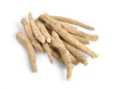 WILD ASHWAGANDHA