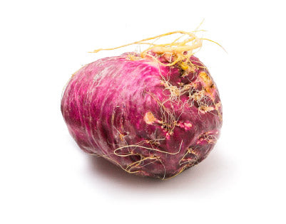 PURPLE MACA